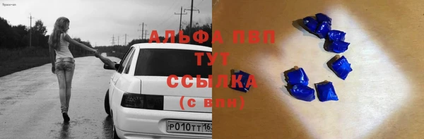 не бодяженный Богданович