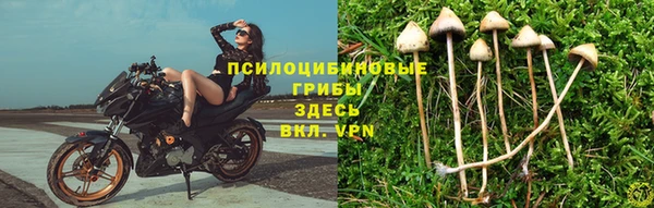 винт Богородицк