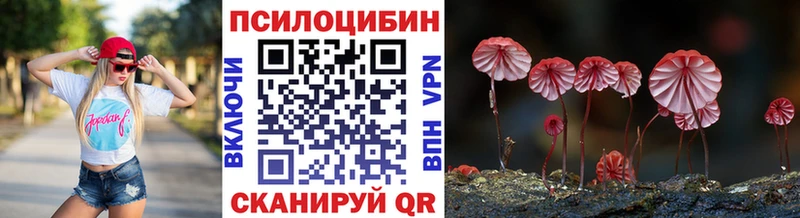 Псилоцибиновые грибы прущие грибы  где купить наркоту  Балаково 