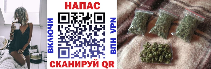 Шишки марихуана конопля дарк нет формула Балаково где купить наркотик